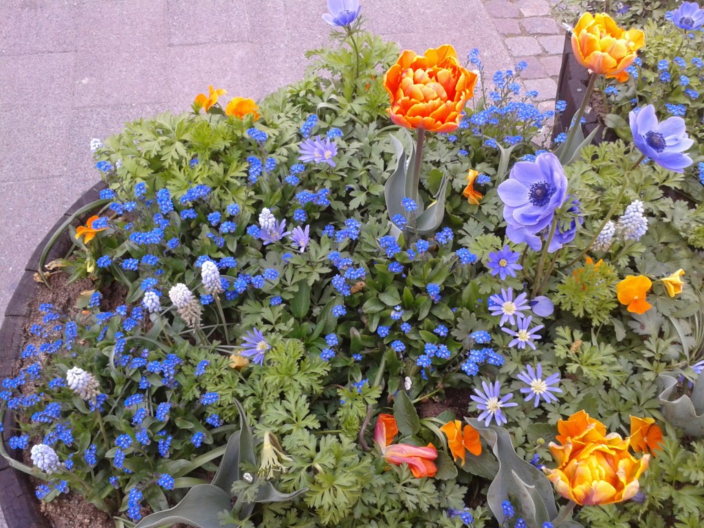 2014-05-03 13.25.32