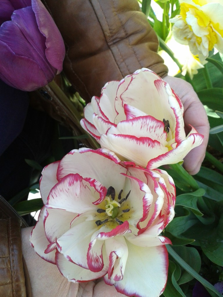 2014-05-03 13.28.40