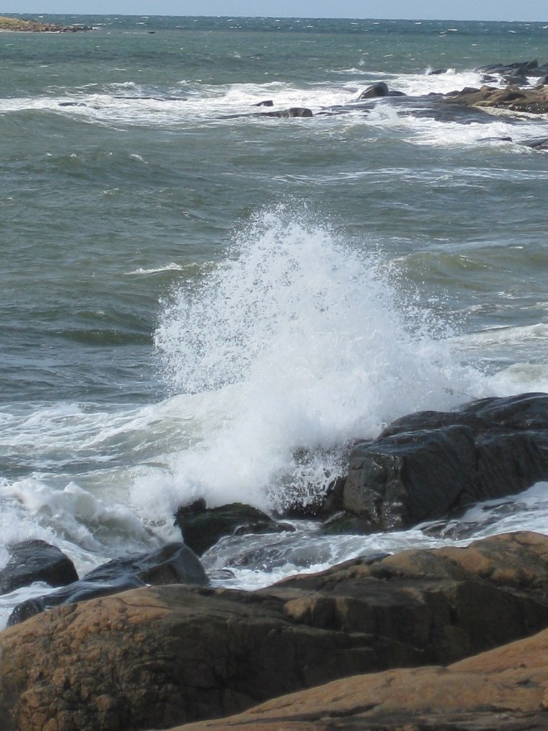 IMG_3393