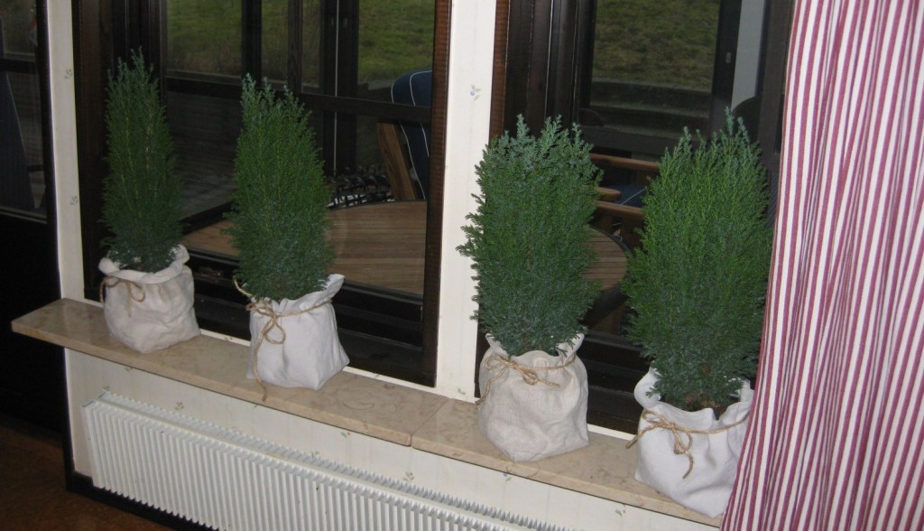 IMG_4171