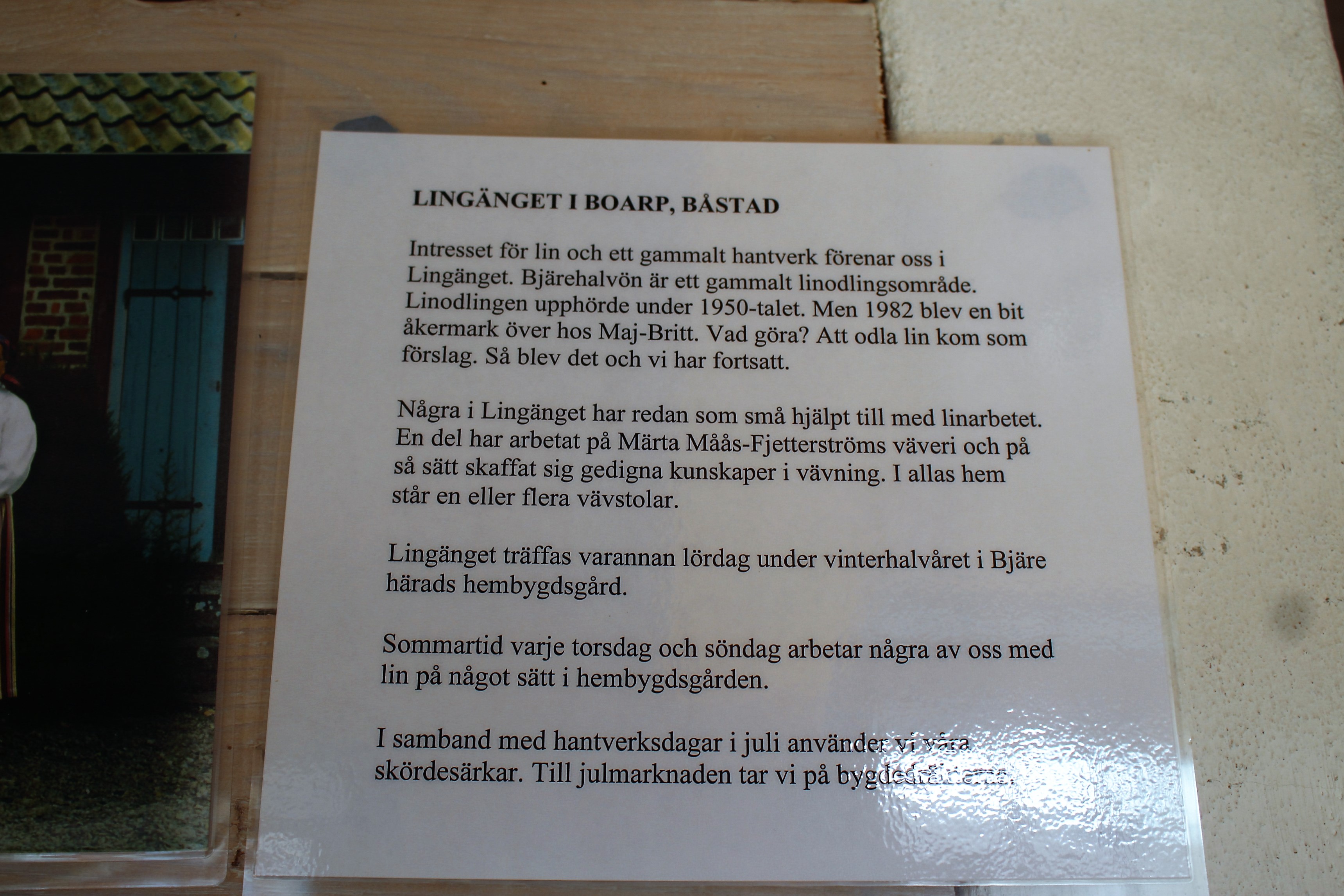 IMG_5804